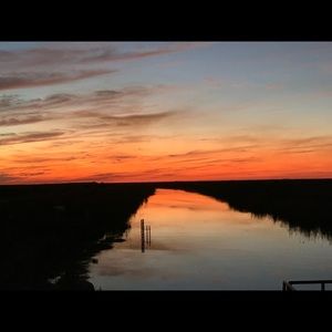 Meet your Posher, Priscilla